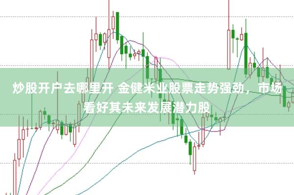 炒股开户去哪里开 金健米业股票走势强劲，市场看好其未来发展潜力股