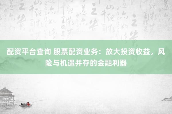 配资平台查询 股票配资业务：放大投资收益，风险与机遇并存的金融利器