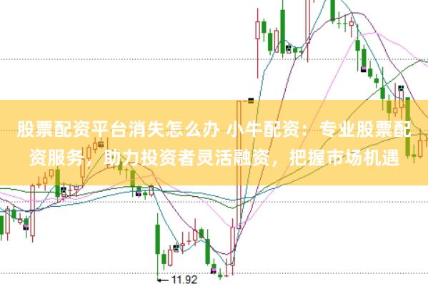 股票配资平台消失怎么办 小牛配资：专业股票配资服务，助力投资者灵活融资，把握市场机遇