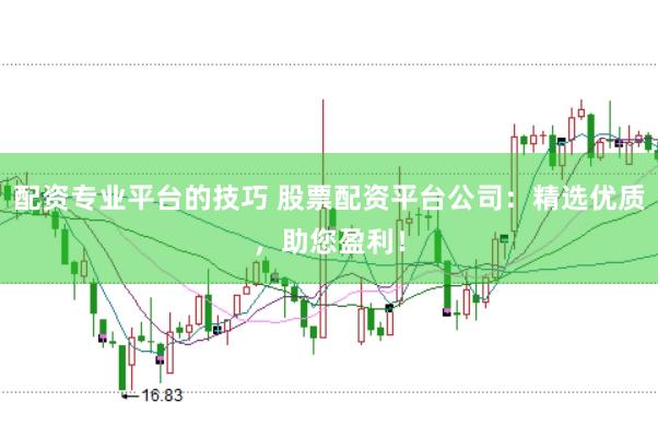 配资专业平台的技巧 股票配资平台公司：精选优质，助您盈利！