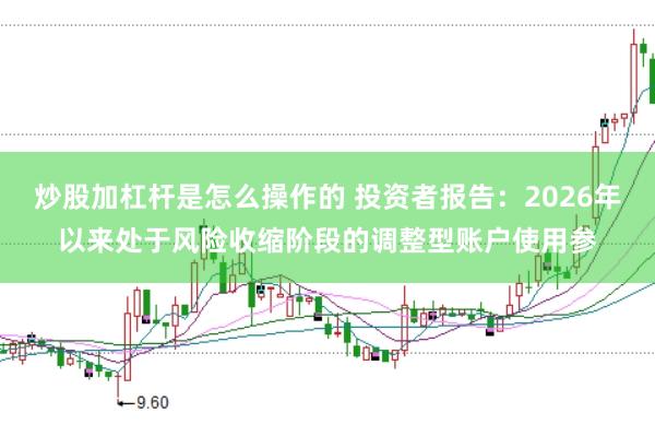 炒股加杠杆是怎么操作的 投资者报告：2026年以来处于风险收缩阶段的调整型账户使用参