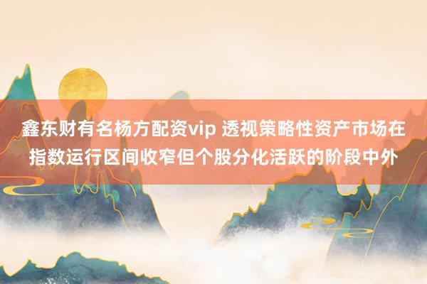 鑫东财有名杨方配资vip 透视策略性资产市场在指数运行区间收窄但个股分化活跃的阶段中外