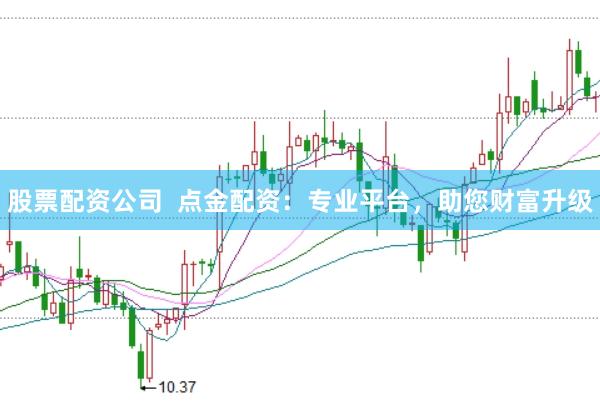 股票配资公司  点金配资：专业平台，助您财富升级