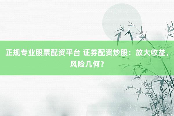正规专业股票配资平台 证券配资炒股：放大收益，风险几何？