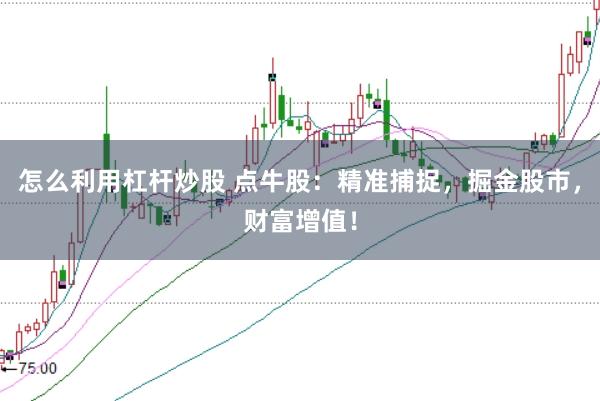 怎么利用杠杆炒股 点牛股：精准捕捉，掘金股市，财富增值！