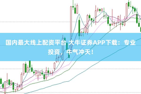 国内最大线上配资平台 大牛证券APP下载：专业投资，牛气冲天！